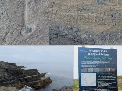 Mistaken Point by Zoë Sheng