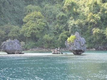 Coron Island Natural Biotic Area by GabLabCebu