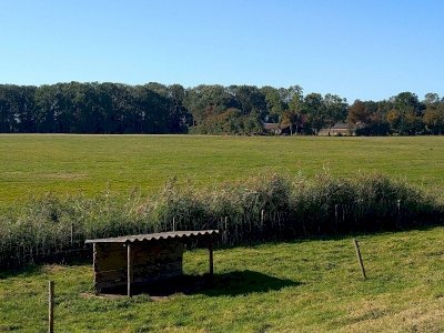 Schokland by Tsunami