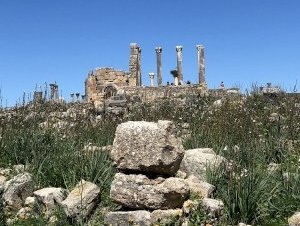 Volubilis by Travel Addicts