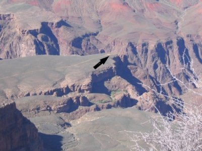 Grand Canyon by Jakob Frenzel