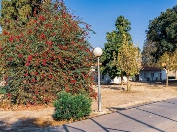 Degania & Nahalal by Ilya Burlak
