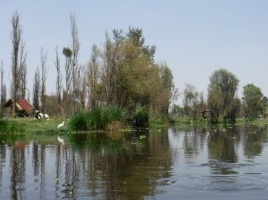 Mexico City and Xochimilco by Frédéric M