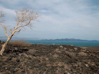 Lake Turkana by Richard Stone