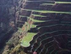 Rice Terraces of the Philippine Cordilleras by Solivagant