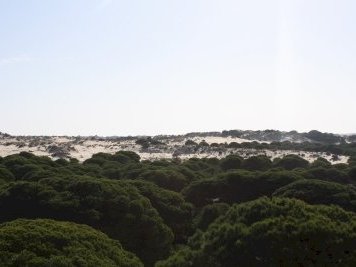 Donana National Park by Jakob Frenzel