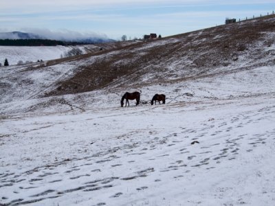 Original Meadow - Pasture Sites of Slovakia by Matejicek