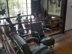 Diego Rivera and Frida Kahlo's Home-Study Museum by Zoë Sheng