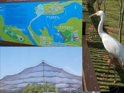 Poyang Nature Reserve by Zoë Sheng