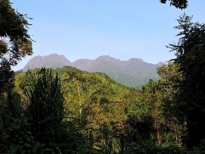 Rwenzori Mountains by Michael Ayers