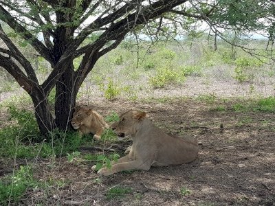 Selous Game Reserve by Wojciech Fedoruk