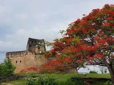 Ruins of Kilwa Kisiwani and Songo Mnara by Wojciech Fedoruk