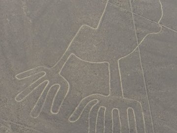 Nasca Lines by Frédéric M
