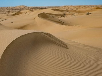 El Pinacate by Dan Pettigrew