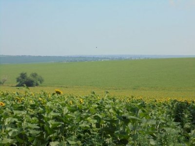 The Typical Crernozem Soils of the Balti Steppe by Jarek Pokrzywnicki