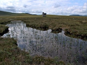 The Flow Country by James Bowyer
