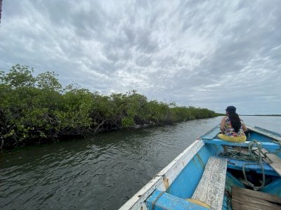 Saloum Delta by Thomas Buechler