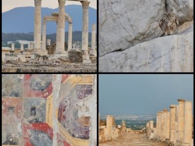 Archaeological site of Laodikeia by Clyde