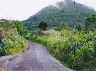 Morne Trois Pitons by Els Slots