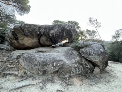 Rock Art of the Mediterranean Basin by Caspar Dechmann