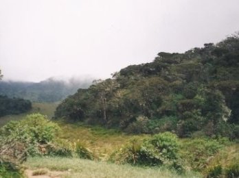 Central Highlands by Els Slots