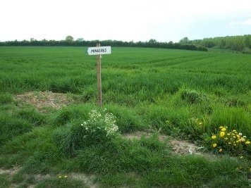 Neolithic Flint Mines at Spiennes by Els Slots