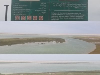Lagune de Khnifiss by Zoë Sheng
