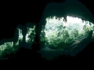 Niah Caves by Solivagant
