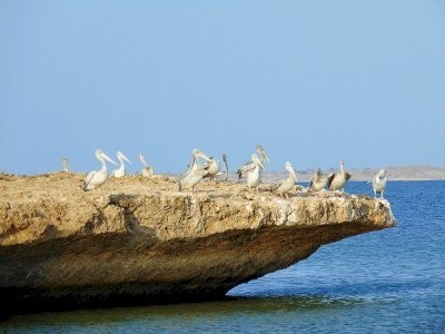 Farasan Islands by Wojciech Fedoruk