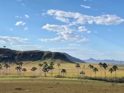 Cerrado Protected Areas by Shandos Cleaver