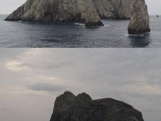 Malpelo by Zoë Sheng