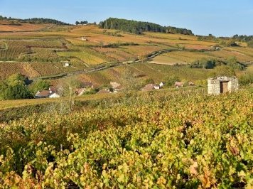 Burgundy by Frederik Dawson