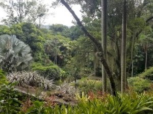 Sítio Roberto Burle Marx by Zoë Sheng