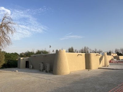 Al-Ahsa Oasis by Martina Rúčková