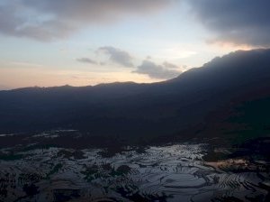 Hani Rice Terraces by Zoë Sheng