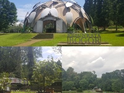Kebun Raya Bogor by Zoë Sheng