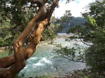 Los Alerces National Park by Timonator