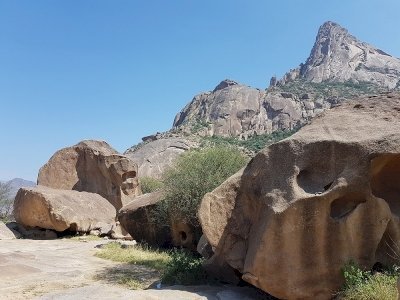 Bioclimatic Refugia of Western Arabia by Wojciech Fedoruk