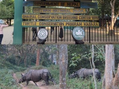 Chitwan National Park by Zoë Sheng