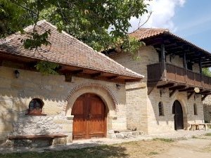 Negotinske Pivnice by Argo