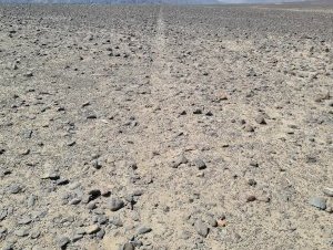 Nasca Lines by Timonator