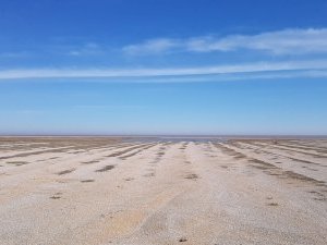 East Atlantic Flyway by Argo