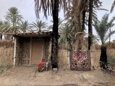 Oasis de Gabes by Stanislaw Warwas