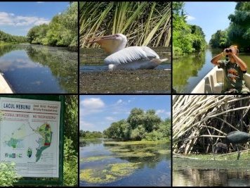 Danube Delta by Clyde