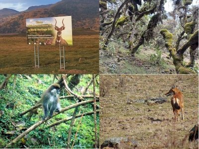 Bale Mountains National Park by Wojciech Fedoruk
