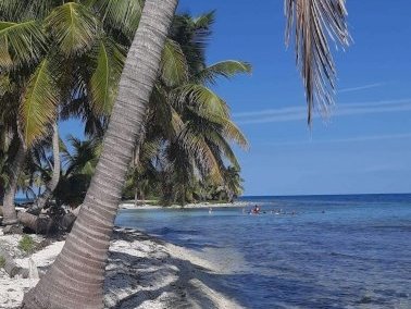 Belize Barrier Reef by Patrik