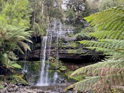 Tasmanian Wilderness by Shandos Cleaver