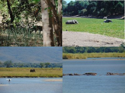Mana Pools by Wojciech Fedoruk