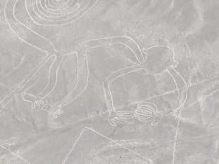 Nasca Lines by Dennis Nicklaus