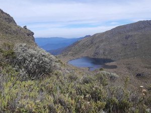 Talamanca Range-La Amistad Reserves by Patrik